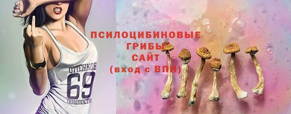 эйфоретик Надым
